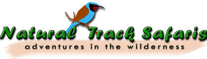 FindTourGuide