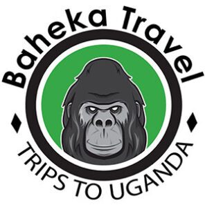 FindTourGuide