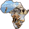 FindTourGuide