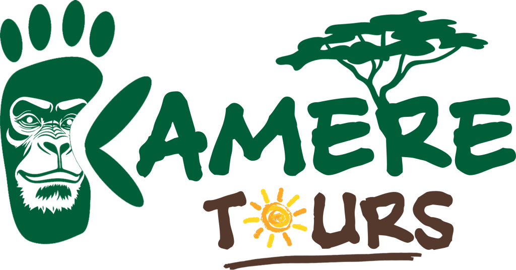 FindTourGuide