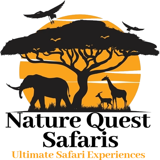 FindTourGuide