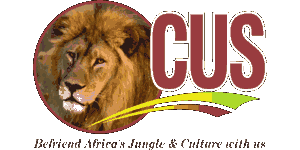 FindTourGuide