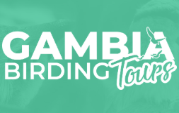 FindTourGuide