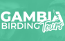 Gambia Birding Tours