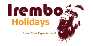 FindTourGuide