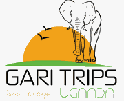 FindTourGuide