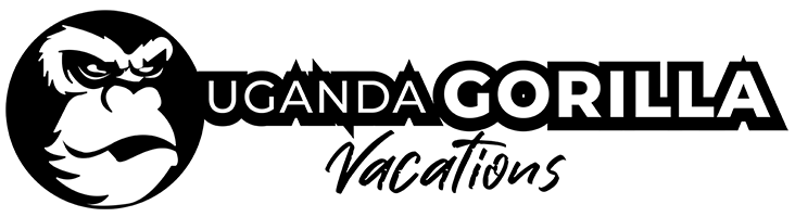 FindTourGuide