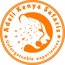FindTourGuide