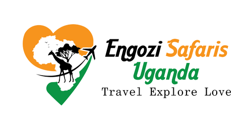 FindTourGuide
