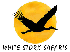 FindTourGuide