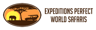 FindTourGuide