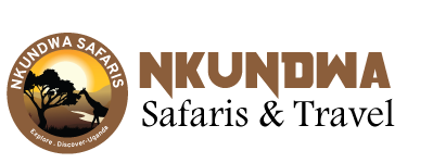 FindTourGuide