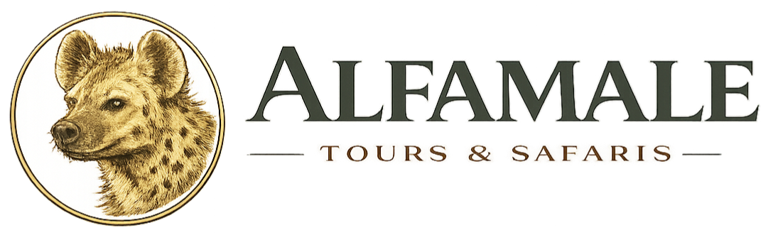 FindTourGuide