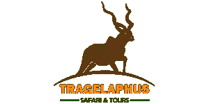 FindTourGuide