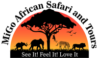 FindTourGuide