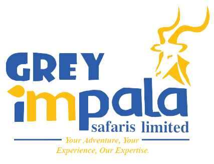FindTourGuide