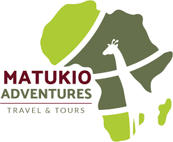 FindTourGuide