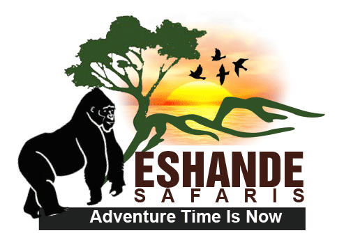 FindTourGuide