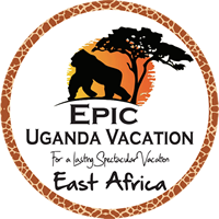FindTourGuide