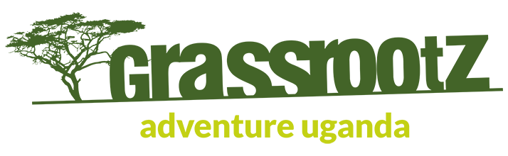 FindTourGuide