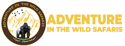 FindTourGuide