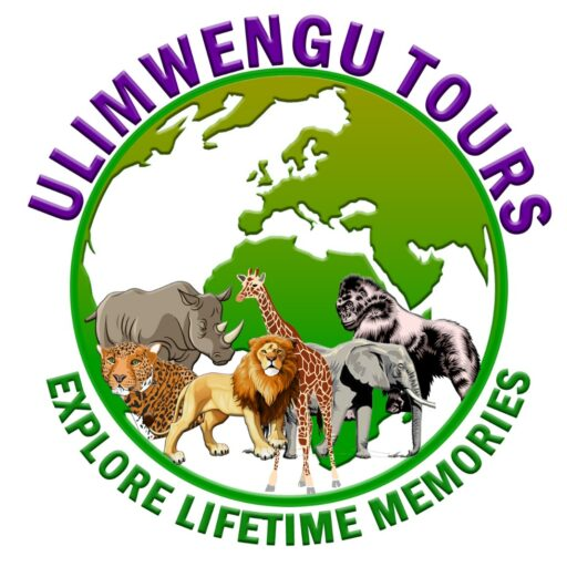 FindTourGuide
