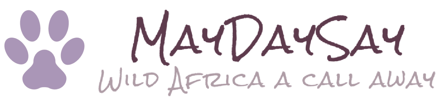 FindTourGuide