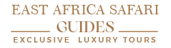 FindTourGuide