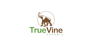 FindTourGuide