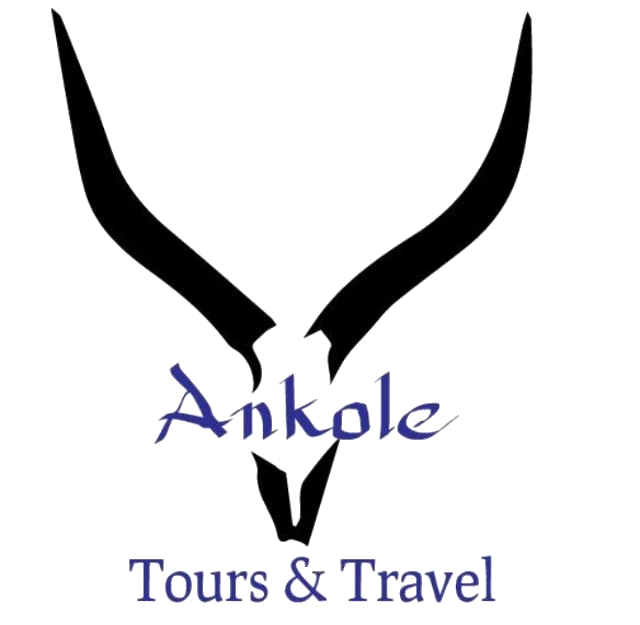FindTourGuide
