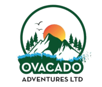 FindTourGuide