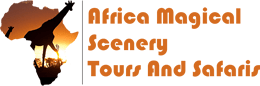 FindTourGuide