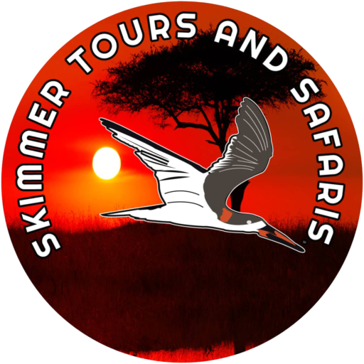 FindTourGuide