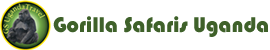 FindTourGuide