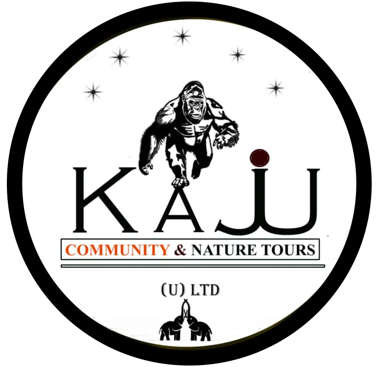 FindTourGuide