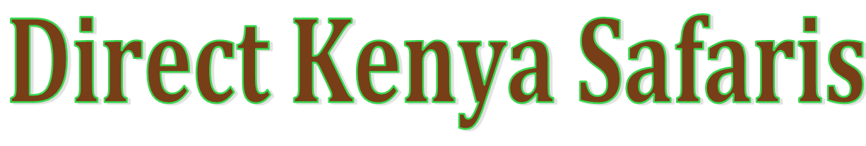 FindTourGuide