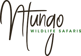 FindTourGuide