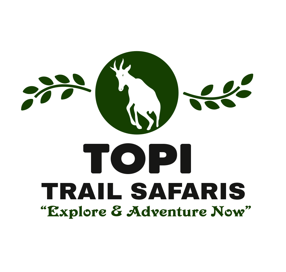FindTourGuide