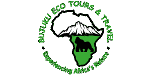 FindTourGuide