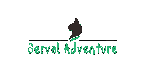 FindTourGuide