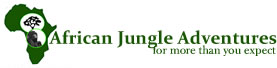 FindTourGuide