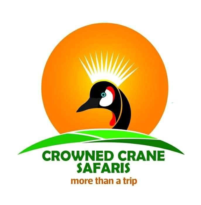 FindTourGuide