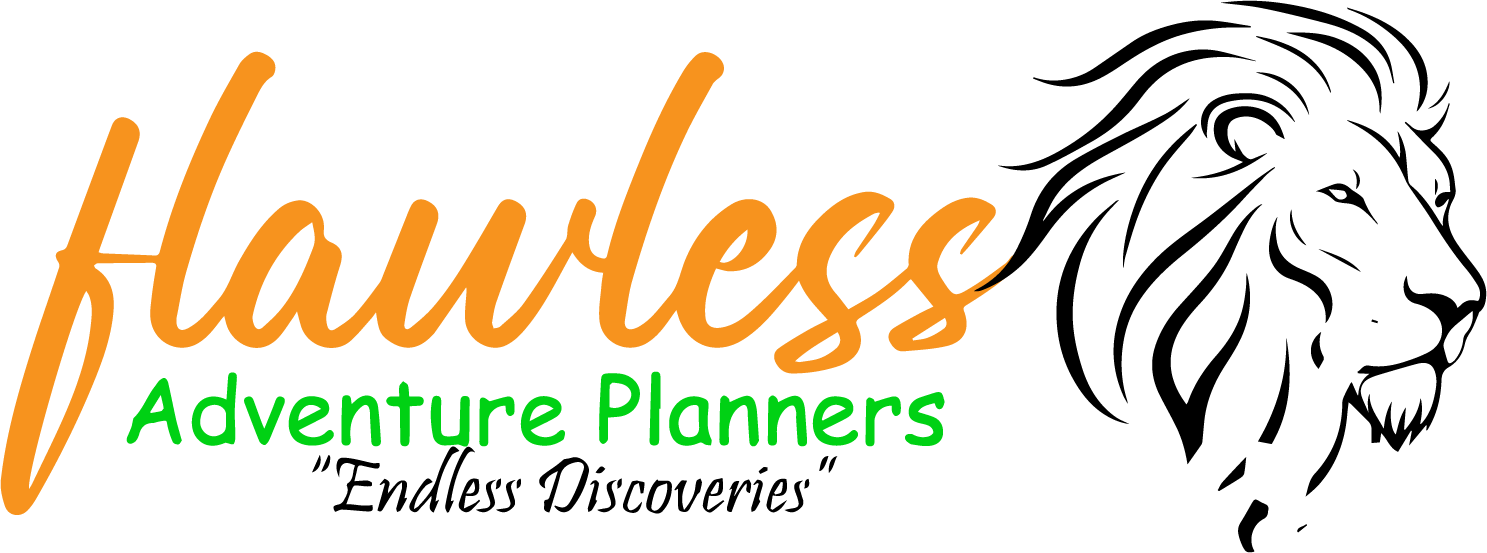 FindTourGuide