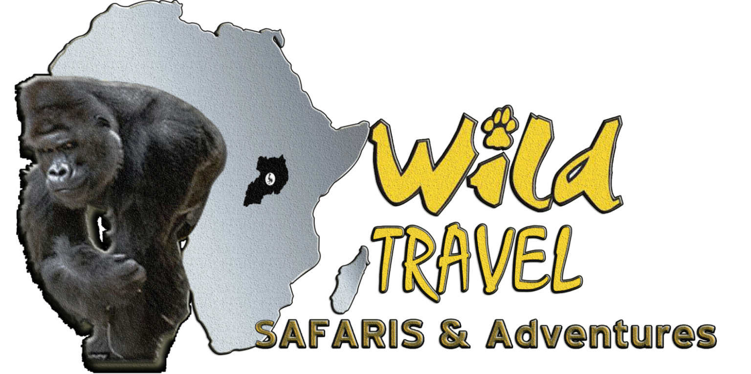 FindTourGuide