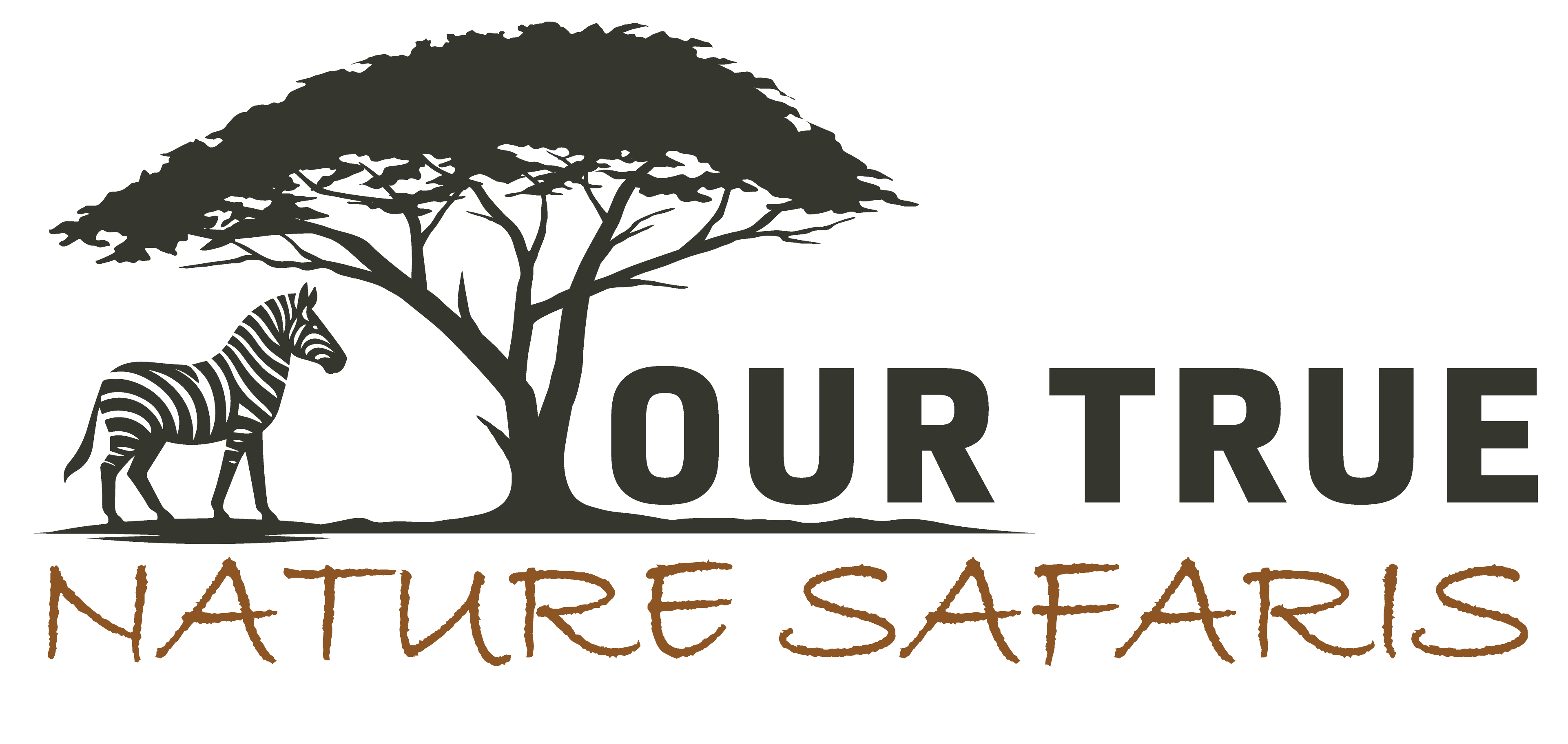 FindTourGuide