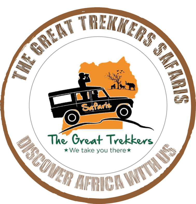 FindTourGuide