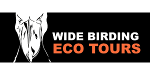 FindTourGuide
