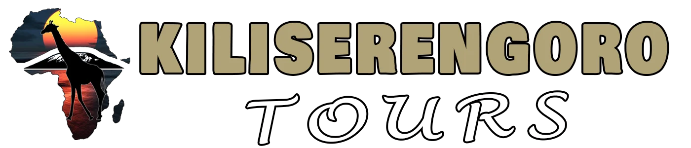 FindTourGuide