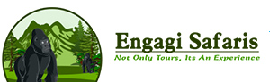 FindTourGuide