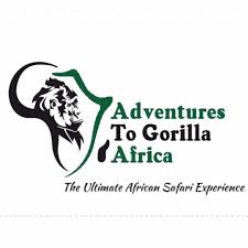 FindTourGuide
